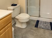Thumbnail 19 of 27 - Master Bathroom at Deer Park Apartments, Randallstown, 21133