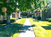 Thumbnail 10 of 17 - A tree-lined walkway leads to a building.