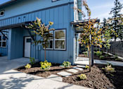 Thumbnail 23 of 55 - A blue house with a white door and windows, surrounded by a garden with a tree and plants.