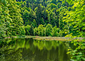 Thumbnail 7 of 8 - A serene lake surrounded by lush trees.
