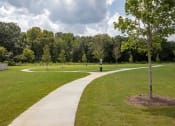 Thumbnail 41 of 46 - a path through a park with trees in the background
