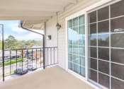 Thumbnail 12 of 41 - Riverview North Balcony