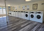 Thumbnail 29 of 31 - A laundromat with rows of washers and dryers.