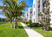 Thumbnail 70 of 78 - A white building with a palm tree in front.