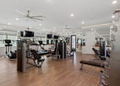 Thumbnail 39 of 53 - a gym with weights and cardio machines and a tv