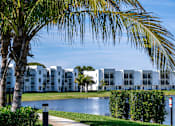 Thumbnail 62 of 78 - A palm tree is in front of a white building.