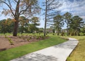 Thumbnail 41 of 49 - a path through a park with trees and houses in the background