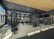 Thumbnail 18 of 94 - a gym with a lot of exercise equipment and windows