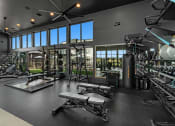 Thumbnail 15 of 94 - a gym with weights and a punching bag and windows