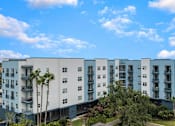 Thumbnail 35 of 35 - A large building with balconies and palm trees in front.