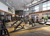 Thumbnail 14 of 28 - a gym with weights and cardio equipment and windows