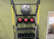 Thumbnail 11 of 25 - Hand weights