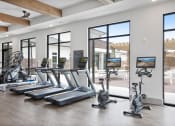 Thumbnail 23 of 46 - a row of treadmills and ellipticals in front of a wall of windows in a