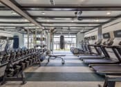 Thumbnail 6 of 25 - a gym with rows of cardio equipment and windows