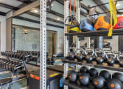 Thumbnail 7 of 25 - a gym with weights and a rack of balls