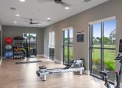 Thumbnail 9 of 28 - a home gym with exercise equipment and windows