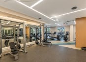 Thumbnail 23 of 38 - a gym with cardio machines and weights on the floor