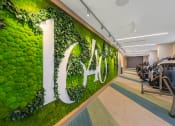Thumbnail 22 of 38 - a green wall with moss and a letter on it