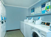 Thumbnail 11 of 19 - The Hermitage Laundry