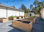 Thumbnail 37 of 45 - A row of wooden raised garden beds are lined up in a row.