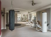 Thumbnail 13 of 35 - a punching bag hanging from the ceiling in a gym