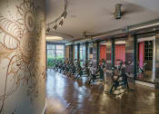 Thumbnail 11 of 35 - a row of exercise bikes in a room with a mural on the wall