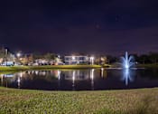 Thumbnail 43 of 43 - A beautiful fountain in the middle of a lake at night.