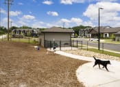 Thumbnail 48 of 70 - two dogs walking on a sidewalk near a dog park