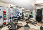 Thumbnail 29 of 58 - a home gym with a black and white checkered floor