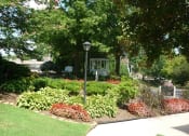 Thumbnail 13 of 30 - Mountain View garden.