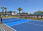 Thumbnail 18 of 24 - a tennis court with palm trees and houses in the background