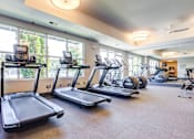 Thumbnail 7 of 24 - A gym with treadmills and elliptical machines.