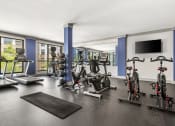 Thumbnail 11 of 49 - a gym with treadmills and other exercise equipment in a room with windows