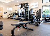 Thumbnail 22 of 35 - A gym with a variety of equipment including dumbbells, weight machines, and benches.