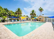 Thumbnail 1 of 26 - A large outdoor swimming pool surrounded by palm trees and lounge chairs at Coral Club Apartments in Bradenton, FL