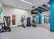 Thumbnail 18 of 56 - a gym with exercise equipment and a mural on the wall