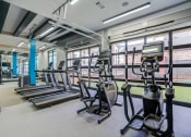 Thumbnail 19 of 56 - a photo of the exercise equipment in the gym at penn state behrend