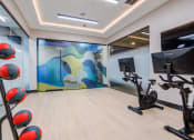 Thumbnail 23 of 56 - a gym with exercise equipment and a colorful mural on the wall