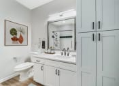 Thumbnail 22 of 59 - a bathroom with a sink and a toilet and a mirror