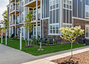 Thumbnail 28 of 30 - A tree with white flowers is in the front yard of a modern apartment building.