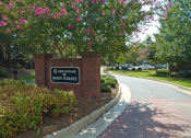 Thumbnail 10 of 36 - community entrance