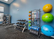 Thumbnail 13 of 14 - A gym with blue walls and a variety of exercise equipment.