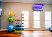 Thumbnail 18 of 69 - a home gym with a skateboard and various balls and a tv