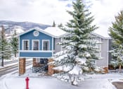 Thumbnail 39 of 43 - a snow covered tree in front of a blue house