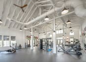 Thumbnail 10 of 54 - a large gym with weights and other exercise equipment