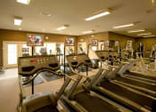 Thumbnail 3 of 36 - fitness center