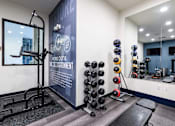 Thumbnail 15 of 27 - A gym with a variety of equipment including a squat rack, dumbbells, and a bench.