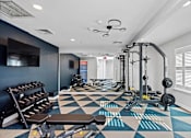 Thumbnail 3 of 13 - A gym with a variety of equipment including weights and benches.