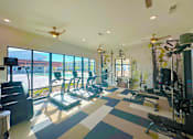 Thumbnail 8 of 23 - A gym with treadmills, weights, and exercise equipment.