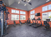 Thumbnail 13 of 16 - A gym with treadmills, weights, and windows.
